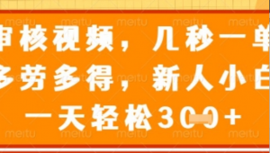 视频审核员，几秒一单，不限时间，不限地点，多做多得，新人小白一天轻松几张+【揭秘】-阿鑫