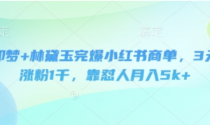 即梦+林黛玉完爆小红书商单，3天涨粉1干，靠怼人月入5k+-阿鑫