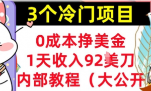3个冷门项目，0成本挣美金，1天收入92刀，超简单，内部教程(首次公开)-阿鑫