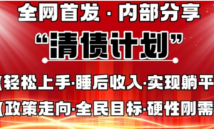 全网首发，内部分享，持续管道收益，真正可发展的事业，自己做老板-阿鑫