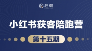 抖音小红书视频号短视频带货与直播变现(11-16期),打造爆款内容，实现高效变现 (更新)-阿鑫