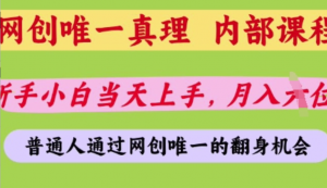 网创唯一真理，内部课程，新手小白当天上手，月入5位数，普通人通过网创唯一的机会【揭秘】-阿鑫