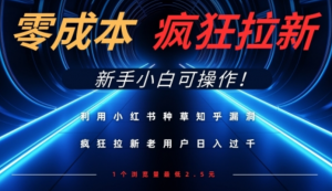 利用小红书种草知乎漏洞，零成本疯狂拉新日入数张，新手小白可操作-阿鑫