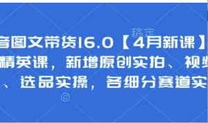 抖音图文带货16.0(4月新课)基础+精英课，新增原创实拍、视频混剪、选品实操各细分赛道实操-阿鑫
