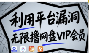 利用平台漏洞，无限撸网盘VIP会员，用户亲测有效!【漏洞原理+操作演示】-阿鑫