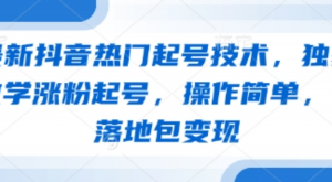 最新抖音热门起号技术，独家教学涨粉起号，操作简单，包落地包变现-阿鑫