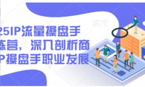 2025IP流量操盘手训练营，深入剖析商业IP操盘手职业发展(更新)-阿鑫