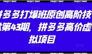 拼多多打爆班原创高阶技术第43期，拼多多高价虚拟项目-阿鑫