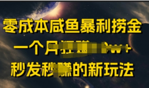 零成本咸鱼暴利捞金，一个月收益过w+秒发新玩法-阿鑫