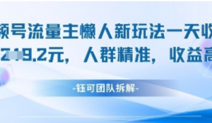 视频号流量主懒人新玩法，一天收益1k人群精准收益高-阿鑫