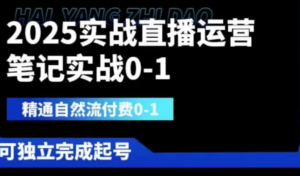 2025实战直播运营0-1，精通自然流付费0-1，可独立完成起号-阿鑫