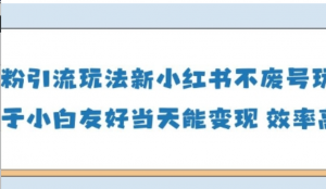 男粉引流玩法(新)，玩法友好做的好当天就 能变现-阿鑫