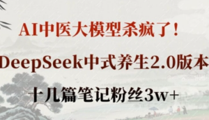 Al中医大模型杀疯了!DeepSeek中式养生2.0版本，十几篇笔记粉丝3w+-阿鑫