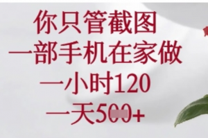 你只管截图，一部手机在家做，苹果安卓都可以，一小时120，一天5张+【揭秘】-阿鑫