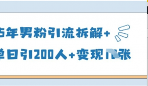 25年男粉引流拆解+单日引200人+变现多 张-阿鑫