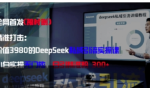 精准打击:价值3980的DeepSeek私域引流实操课，小白实操无门槛，日引精准粉300+-阿鑫