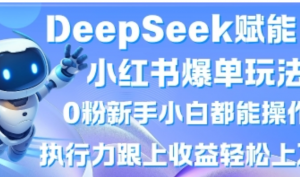 DeepSeek赋能小红书爆单玩法0粉新手小白都能操作，执行力跟上收益轻松上W，懒 人勿做-阿鑫