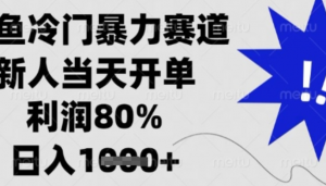 闲鱼冷门暴力赛道，新人当天开单，利润80%，日入1k+【揭秘】-阿鑫
