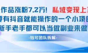 抖音私域项目23条作品涨粉7.2W，私域变现1W-阿鑫