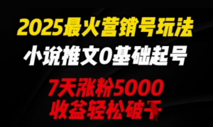 2025最火营销号玩法:小说推文0基础起号，7天涨粉5000，收益轻松破k-阿鑫