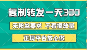 转发视频一天3张+，正规平台放心做，不看播放量，无粉丝要求，随时随地挣收益 【揭秘】-阿鑫