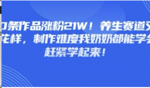 20条作品涨粉21W!养生赛道又出新花样，制作难度我奶奶都能学会，赶紧学起来-阿鑫