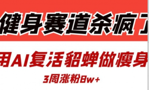 健身赛道杀疯了?我用AI复活貂蝉做瘦身操，3周涨粉8W-阿鑫