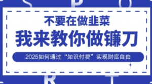 韭菜生涯终结者，我来教你做镰刀，2025如何通过“知识付费”实现财F自由-阿鑫