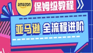 亚马逊保姆级全流程实操教程-跨境电商教程-阿鑫