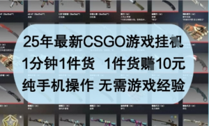25年最新CSGO游戏挂G，1分钟1件货1件货挣10元，纯手机操作，无需游戏经验【揭秘】-阿鑫
