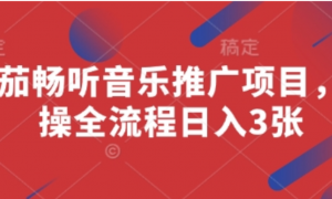 番茄畅听音乐推广项目，实操全流程日入3张-阿鑫