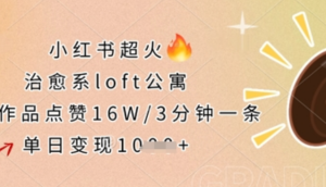小红书超火的治愈系loft公寓，单条作品点赞16W，3分钟一条，单日变现数张-阿鑫