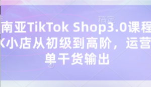东南亚TikTok Shop3.0课程，TK小店从初级到高阶，运营出单干货输出-阿鑫