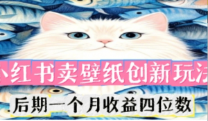 小红书卖壁纸创新玩法,后期一个月收益四位数-阿鑫