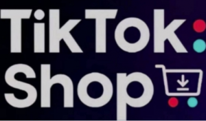 TikTokShop跨境电商0-1实战，手把手教你 低成本启动海外市场-阿鑫