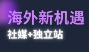 2025出海新机遇(社媒+独立站)，海外新 机遇，实现独立站的高效运营与出海-阿鑫