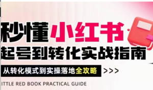 秒懂小红书-起号到转化实战指南，从转化模式到实操落地全攻略，让你破解流量玄学，做得有结果-阿鑫