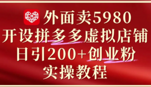外面卖5980开设拼多多虚拟店铺:单日引 流200+创业付费粉实战教程-阿鑫