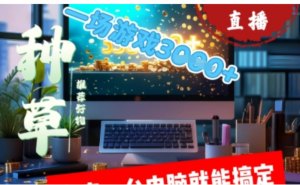 视频号小游戏直播，在家一台电脑就能搞定门槛低，好上手-阿鑫