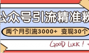 公众号精准粉引流玩法，2个月3000+精准粉，变现30个W【揭秘】-阿鑫