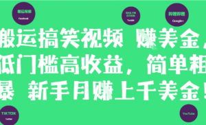 搬运搞笑视频挣美金，低门槛高收益，简单粗暴新手月入上干美刀-阿鑫
