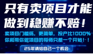 只有卖项目才能做到稳挣不赔，门槛低，更简单，你也可以年入百个W【揭秘】-阿鑫