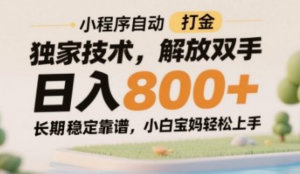 小程序自动打金独家技术，解放双手日入8张，长期稳定靠谱，小白宝妈轻松上手【揭秘】-阿鑫