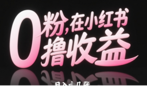 0粉在小红书撸收益，日入几张-阿鑫