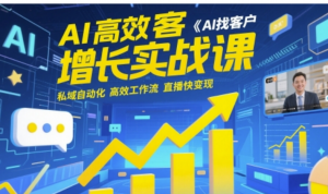 AI高效获客增长实战课，AI找客户 私域自 动化 高效工作流 直播快变现-阿鑫