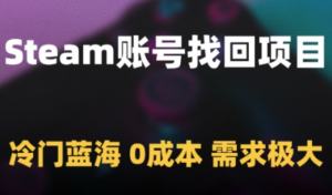 Steam账号找回项目，冷门蓝海，0成本，需求极大-阿鑫