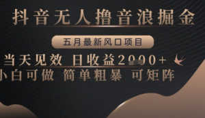 抖音无人撸音浪掘金，五月最新风口项目当天见效，日收益多张，小白可做简单粗暴可矩阵【揭秘-阿鑫