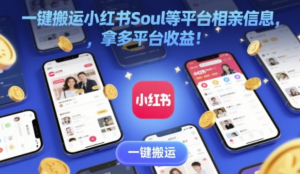 一键搬运小红书Soul等平台相亲信息，拿多 平台收益!-阿鑫
