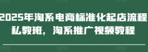 淘系电商标准化起店流程私教班,淘系推广视频教程-阿鑫