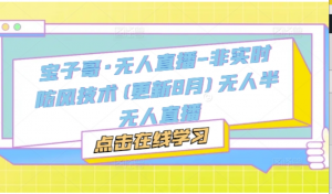 宝子哥·无人直播-非实时防风技术(更新25年5月)无人半无人直播-阿鑫